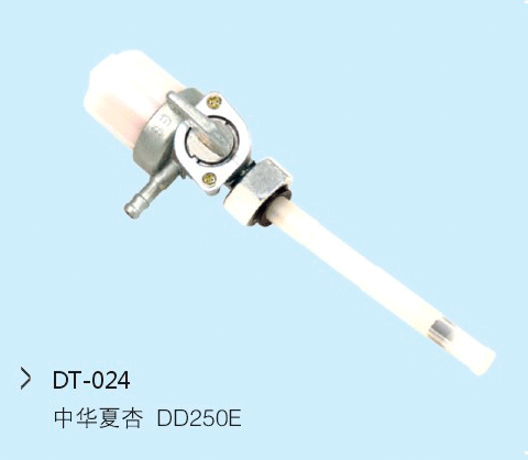 DT-024